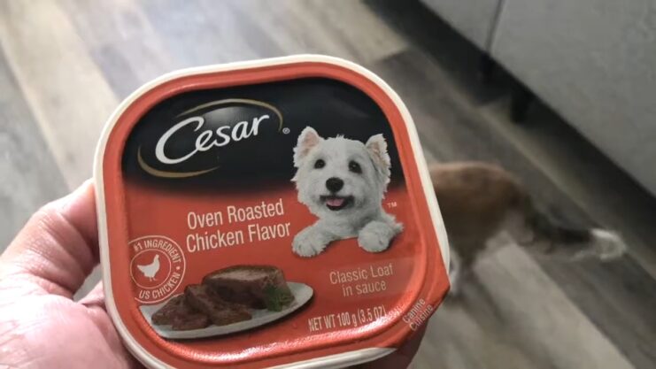 Cesar Canine Cuisine Wet Dog Food, Variety Pack