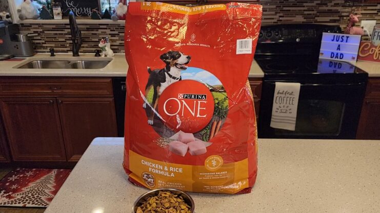 Purina ONE SmartBlend Natural Adult Dry Dog Food