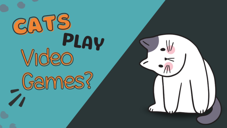 Can Cats Play Video Games