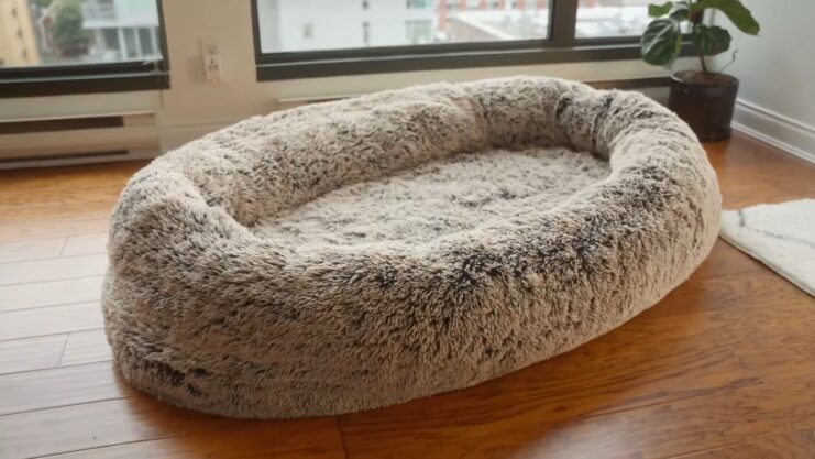 Dog Bed for Humans