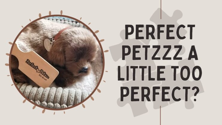 Perfect Petzzz Maybe Too Perfect