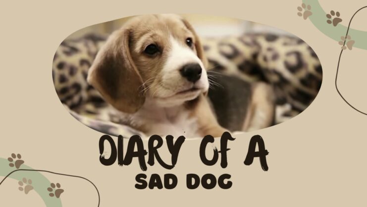 Sad Dog Diary - Short Story