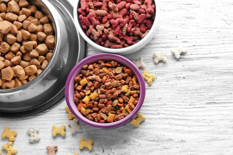 Pink dog food