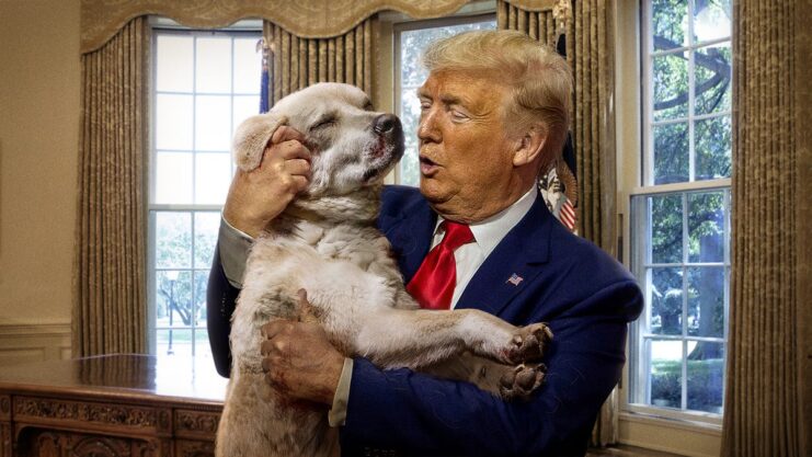 trump with dog