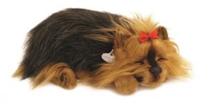 yorkietoy