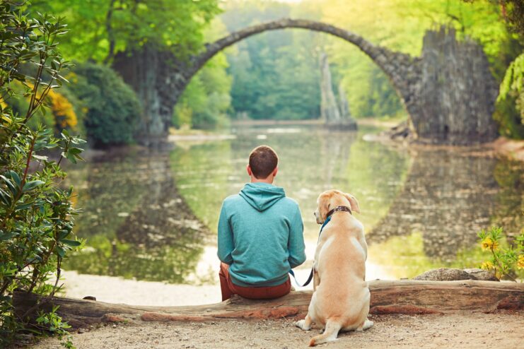 dog and boy on river