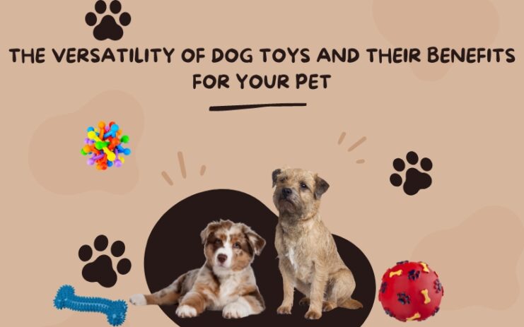 dog toy