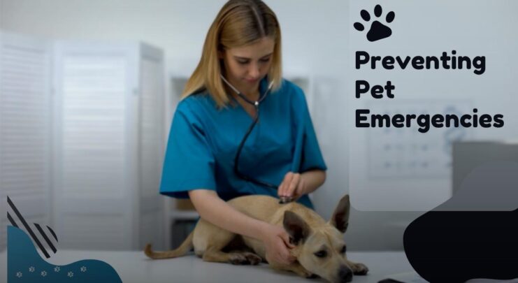 Preventing Pet Emergencies